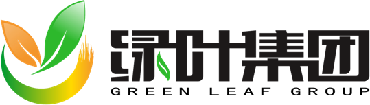 聆聽黨課報告，堅定理想信念